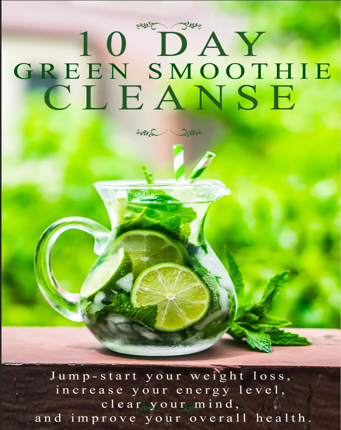 The 10 Day Green Smoothie Cleanse Life Craft Plannerz